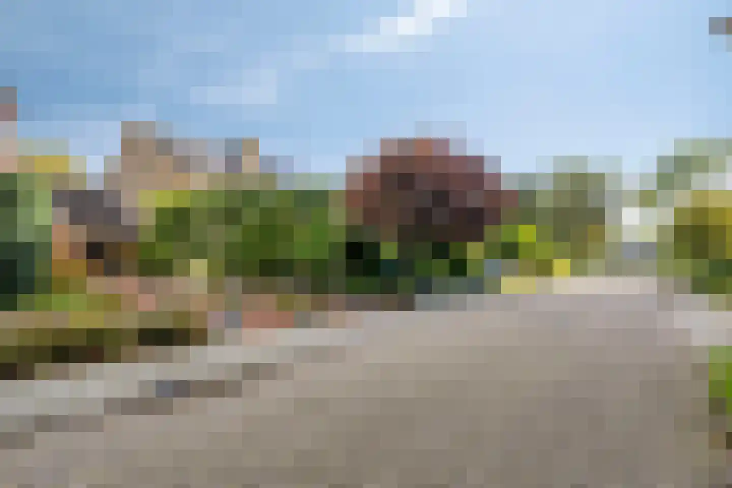 Grietenij 100 Leek thumbnail 46
