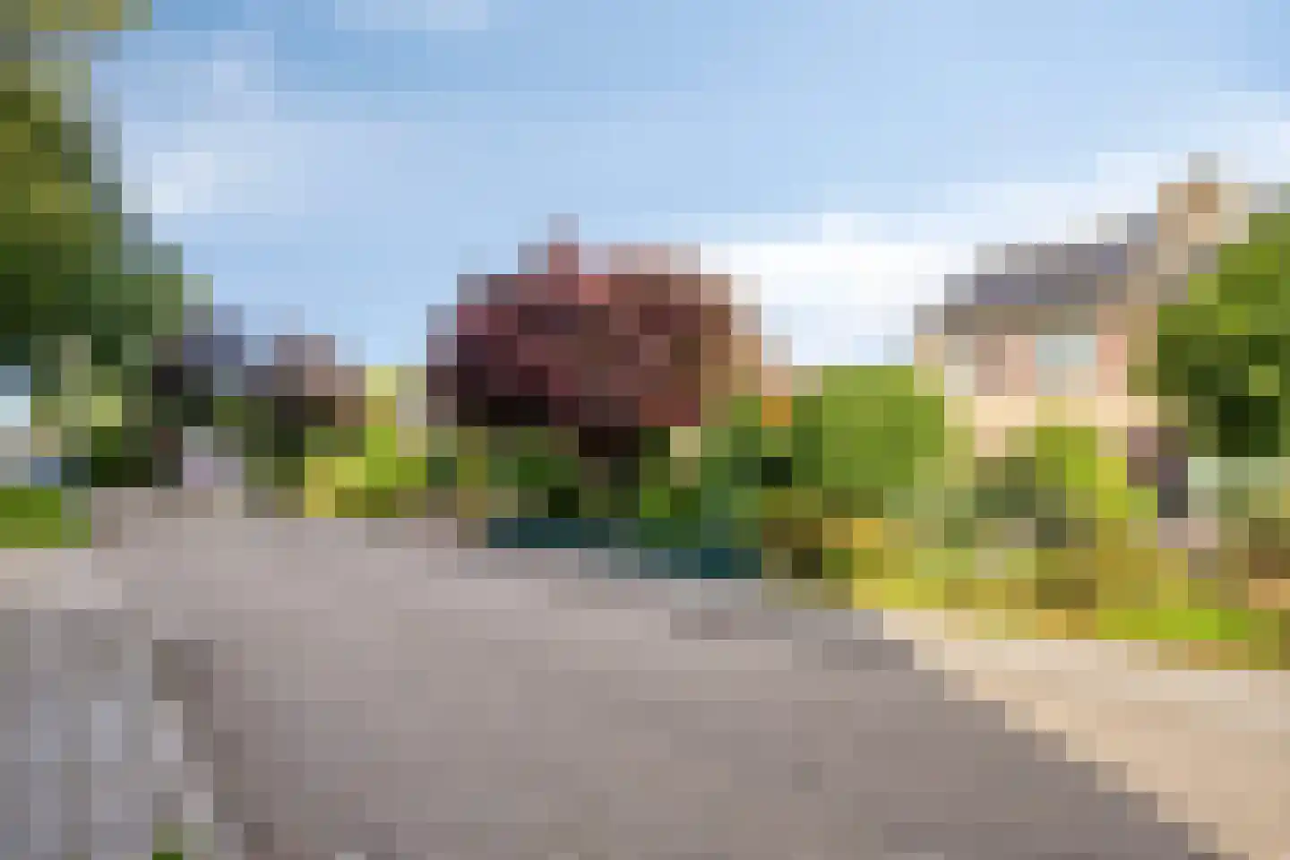 Grietenij 100 Leek thumbnail 47