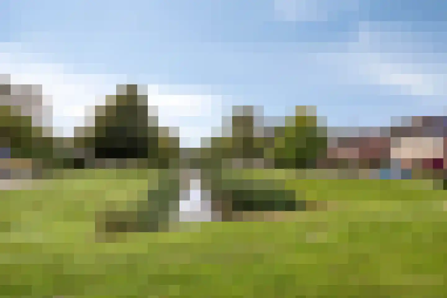 Grietenij 100 Leek thumbnail 48