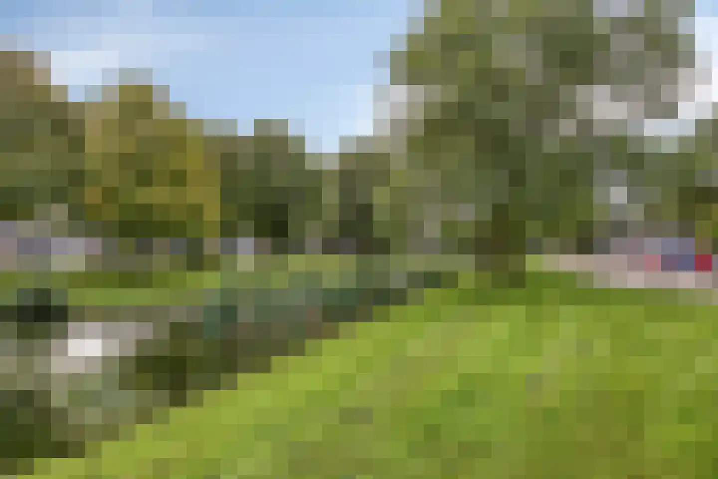 Grietenij 100 Leek thumbnail 49