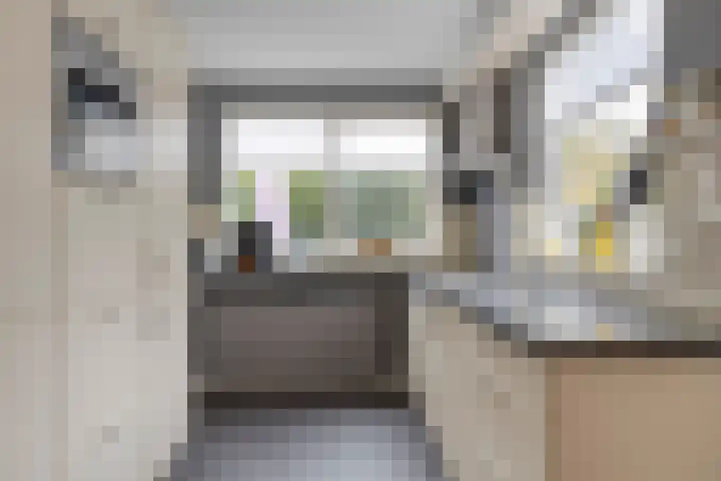 Grietenij 100 Leek thumbnail 5
