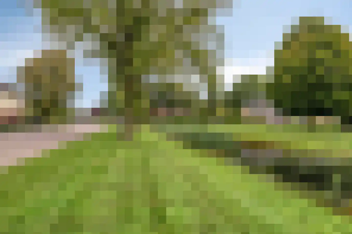 Grietenij 100 Leek thumbnail 50