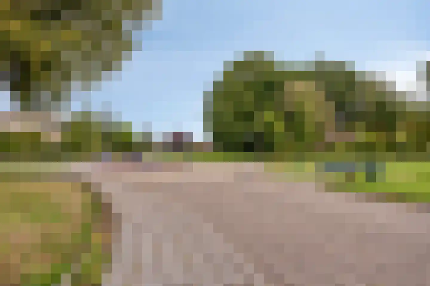 Grietenij 100 Leek thumbnail 51