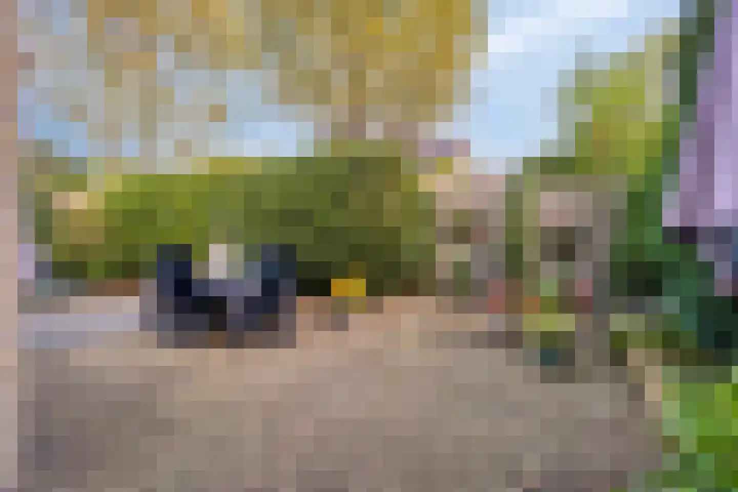 Grietenij 100 Leek thumbnail 7