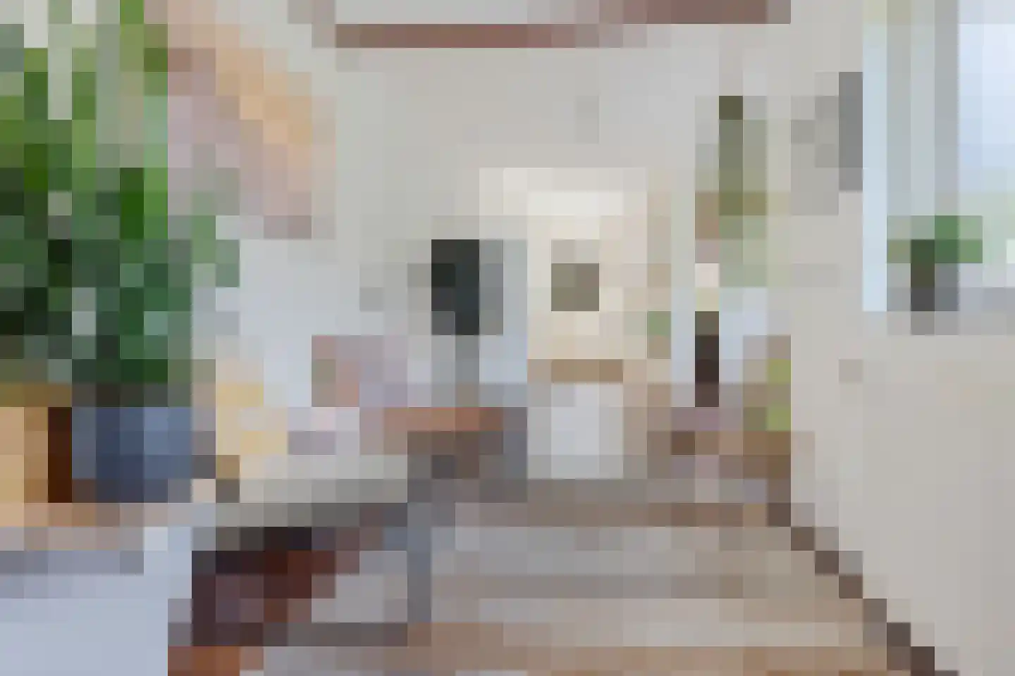 Grietenij 94 Leek thumbnail 12
