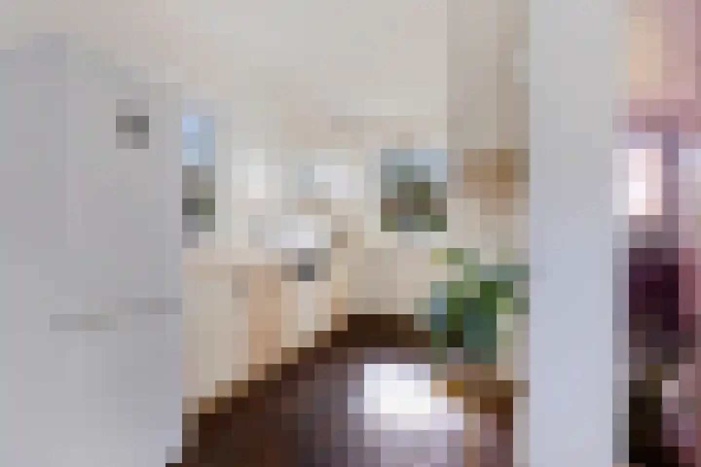 Grietenij 94 Leek thumbnail 13
