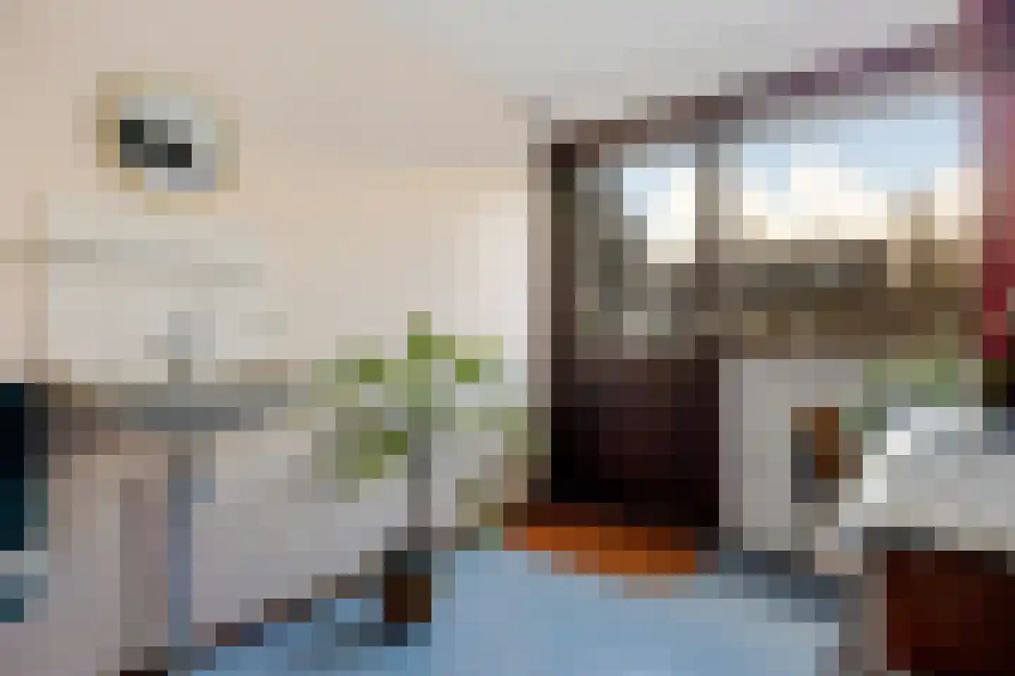 Grietenij 94 Leek thumbnail 22
