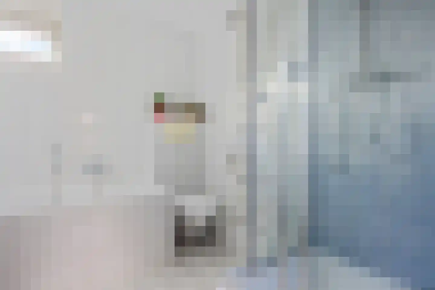 Grietenij 94 Leek thumbnail 26