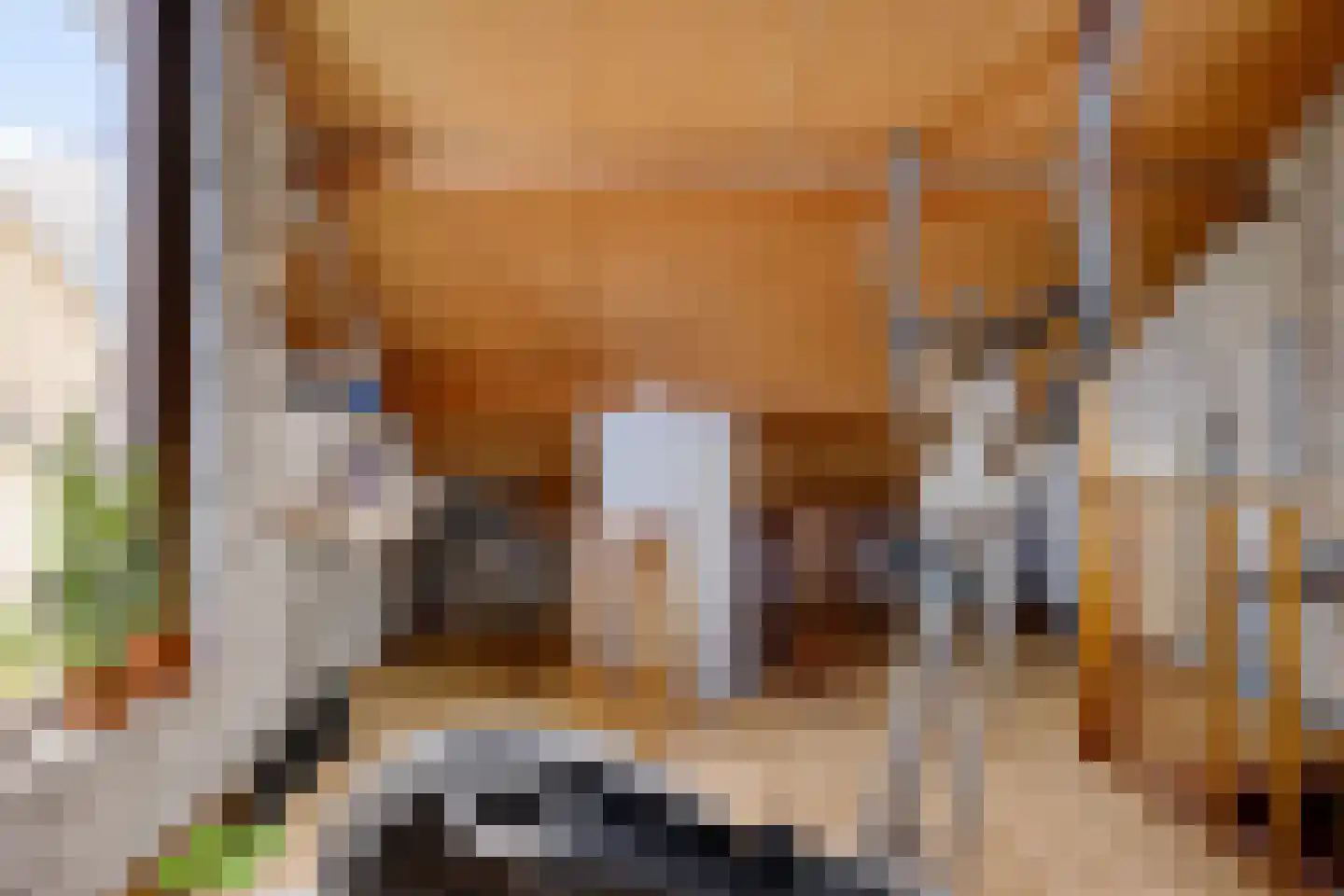 Grietenij 94 Leek thumbnail 29