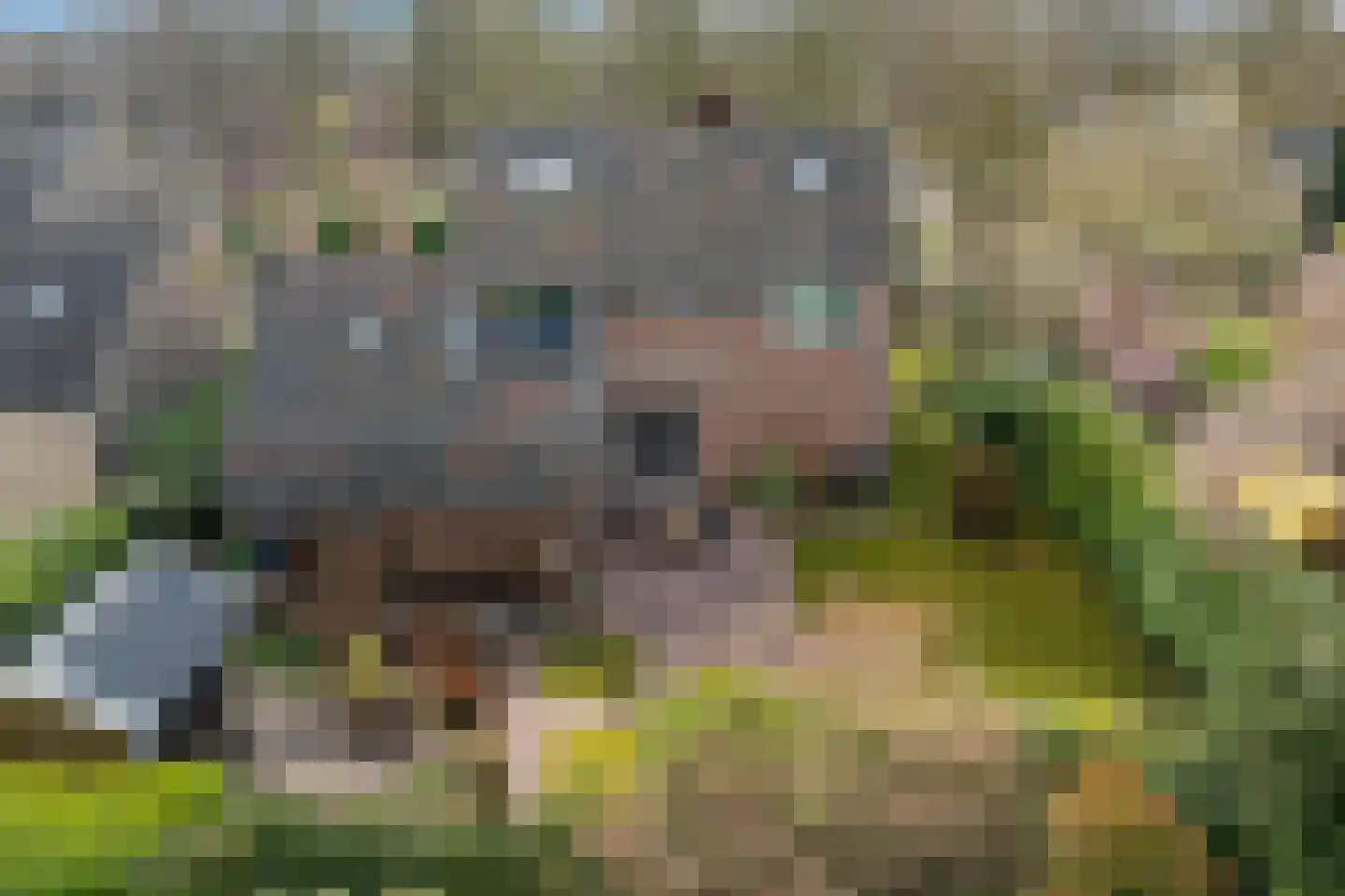 Grietenij 94 Leek foto 3