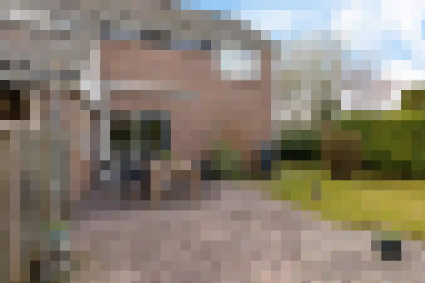 Grietenij 94 Leek thumbnail 34