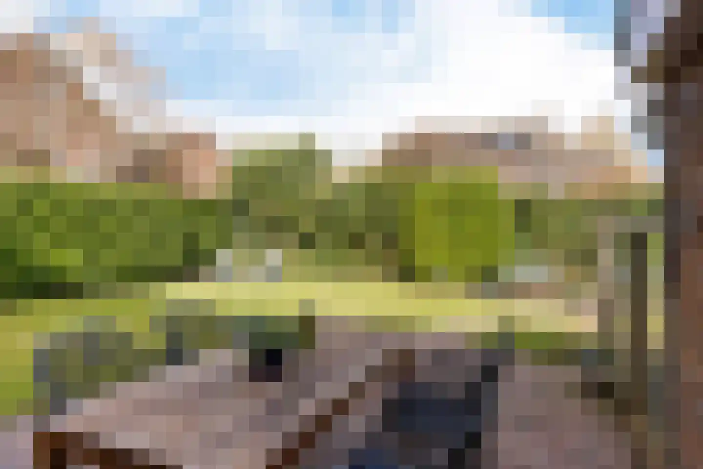 Grietenij 94 Leek thumbnail 38