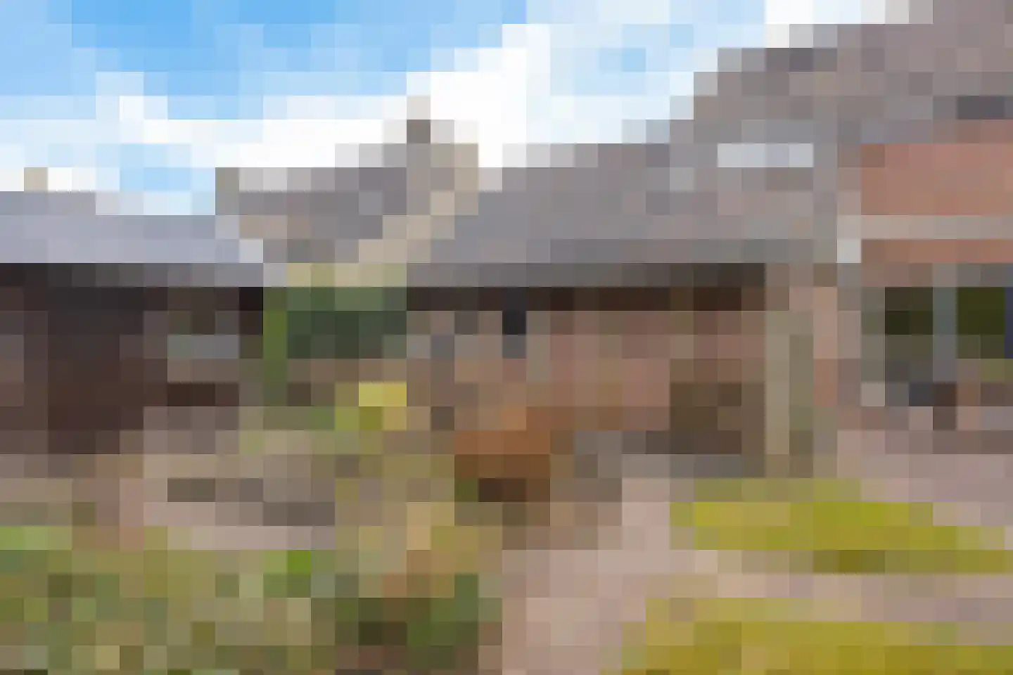 Grietenij 94 Leek thumbnail 39