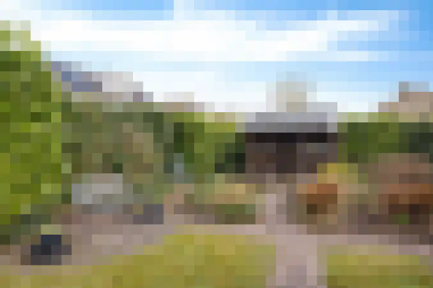 Grietenij 94 Leek thumbnail 40