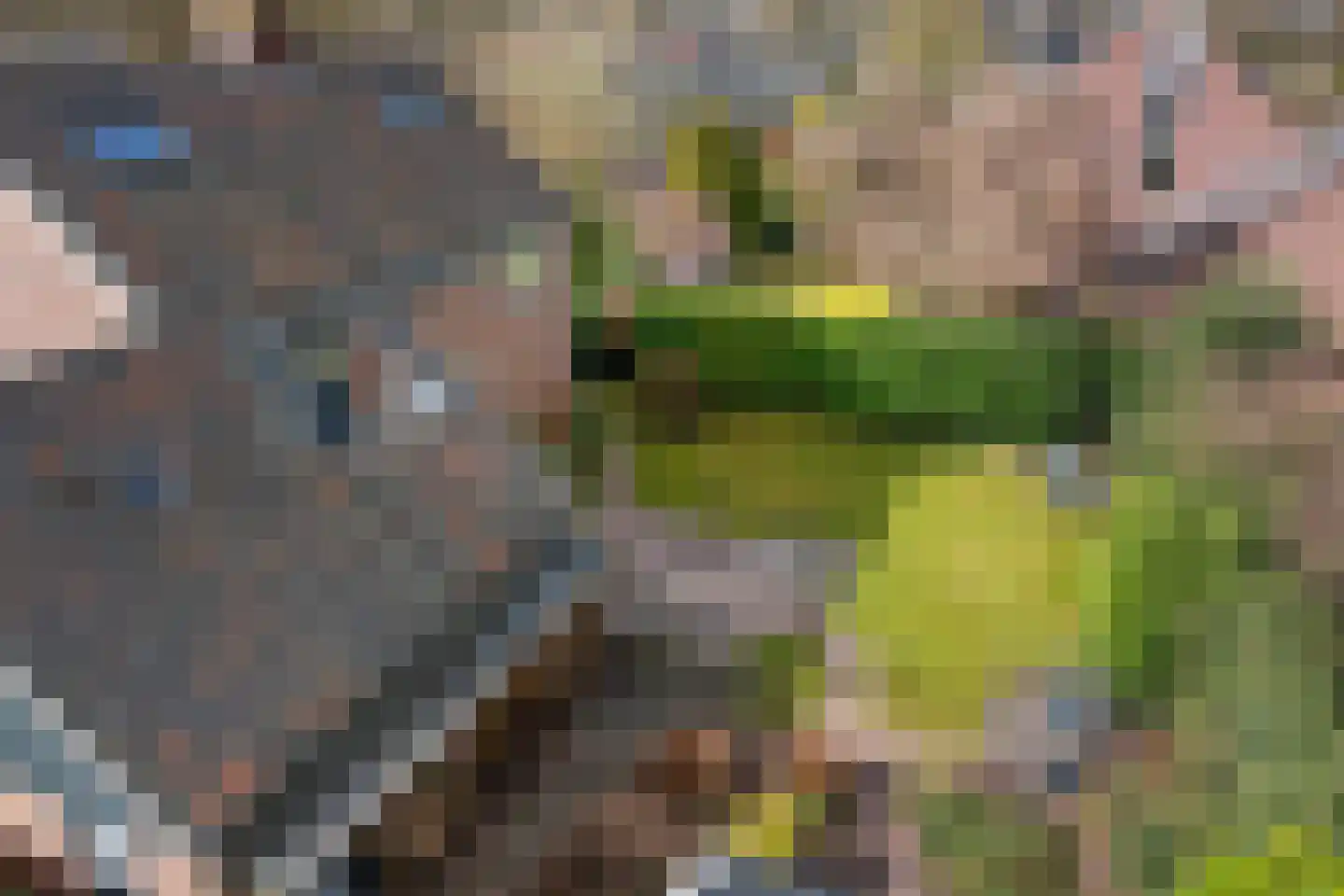 Grietenij 94 Leek thumbnail 41