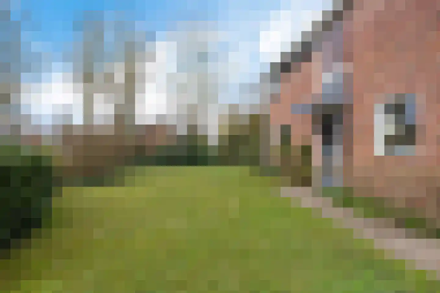 Grietenij 94 Leek thumbnail 42