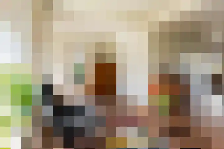 Grietenij 96 Leek thumbnail 10
