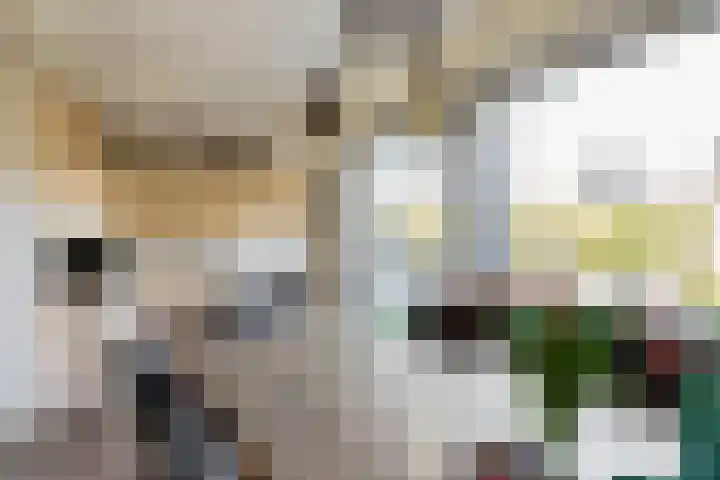 Grietenij 96 Leek thumbnail 17