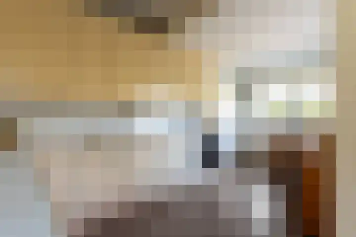 Grietenij 96 Leek thumbnail 18
