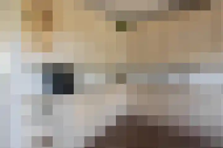 Grietenij 96 Leek thumbnail 19