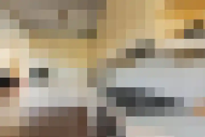 Grietenij 96 Leek thumbnail 20