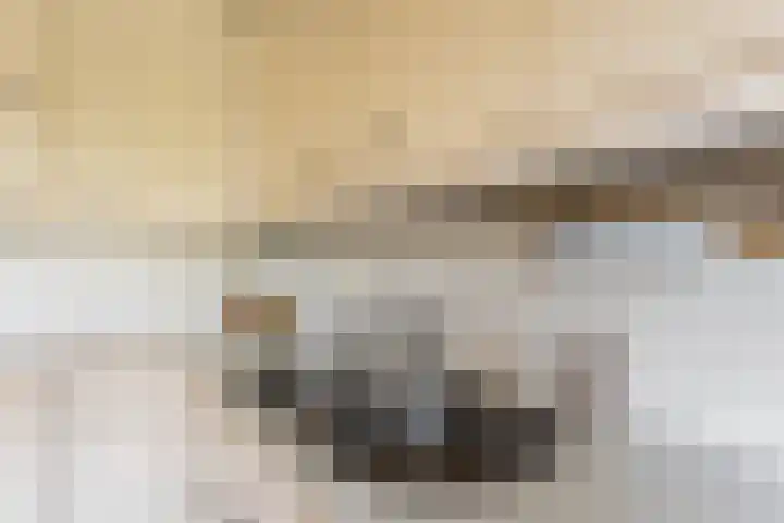 Grietenij 96 Leek thumbnail 21