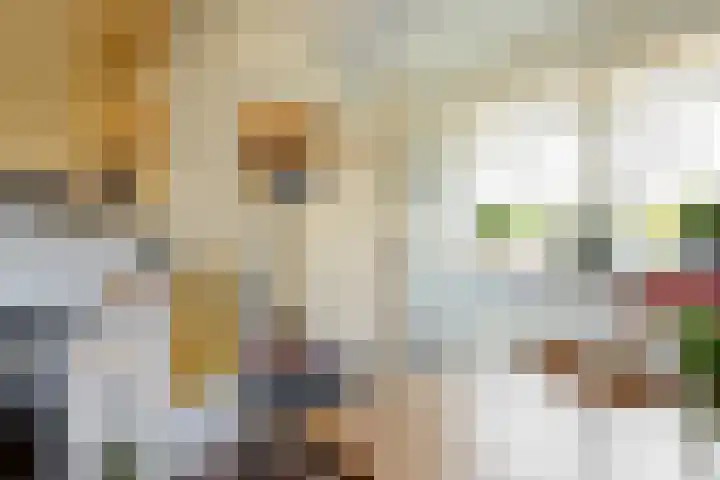 Grietenij 96 Leek thumbnail 22
