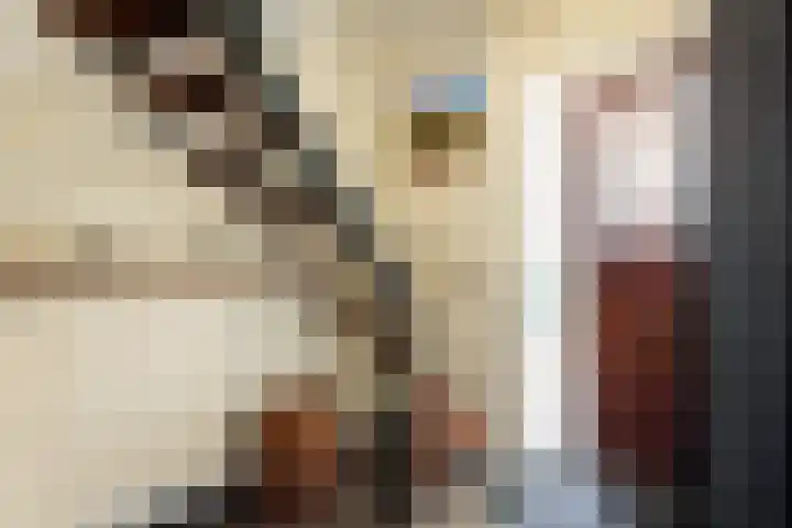 Grietenij 96 Leek thumbnail 24