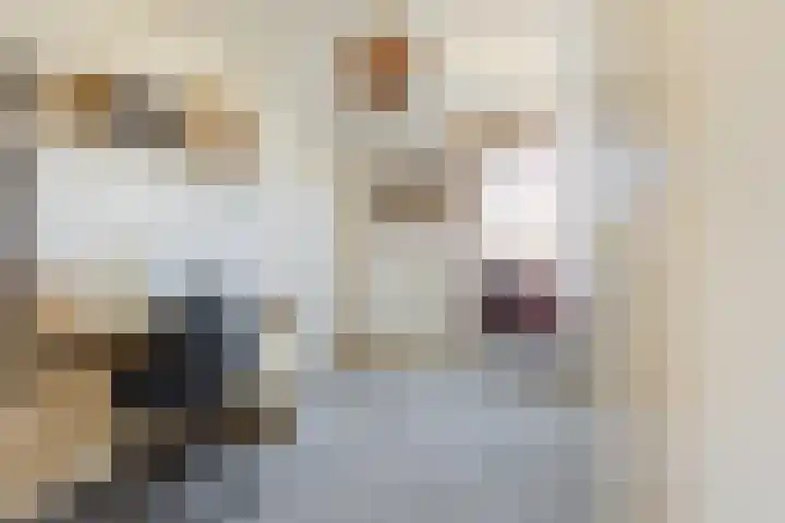Grietenij 96 Leek thumbnail 30