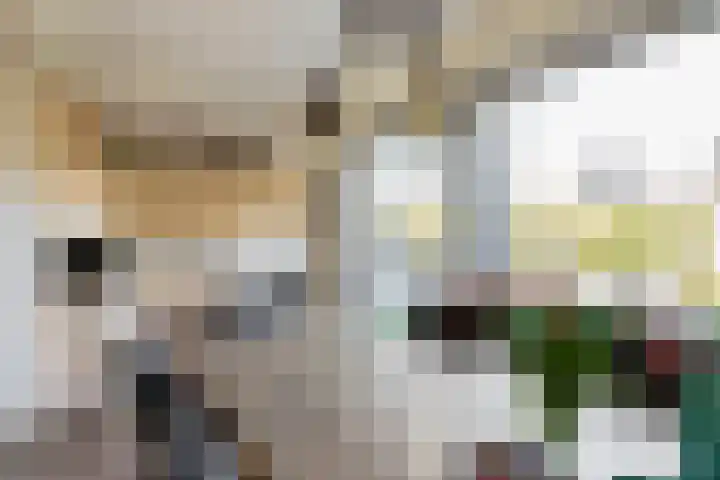 Grietenij 96 Leek thumbnail 4