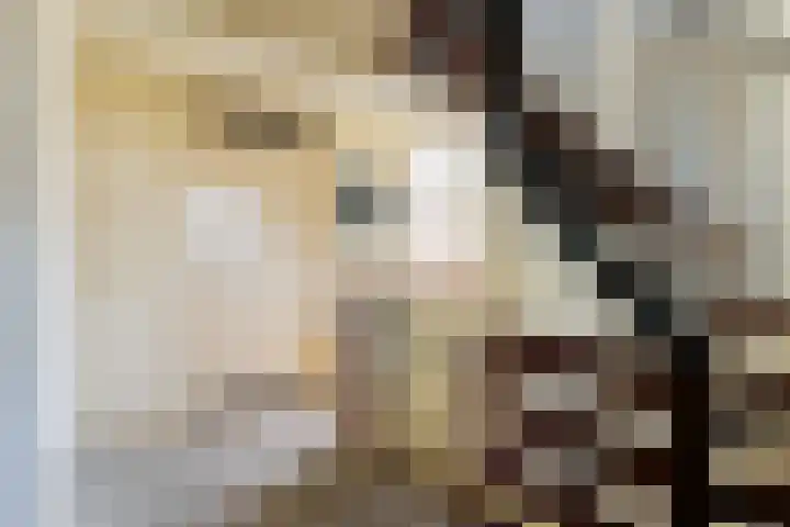 Grietenij 96 Leek thumbnail 40
