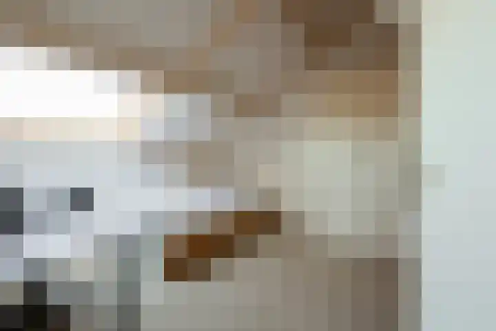 Grietenij 96 Leek thumbnail 42
