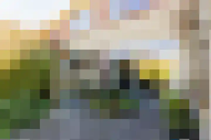 Grietenij 96 Leek thumbnail 44