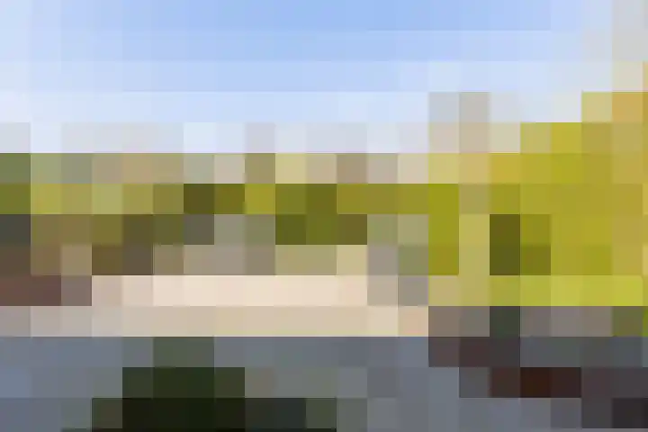 Grietenij 96 Leek thumbnail 45