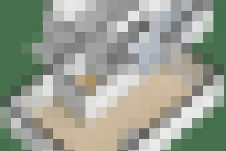Grietenij 96 Leek thumbnail 50