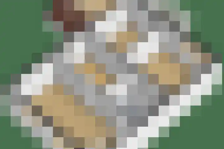 Grietenij 96 Leek thumbnail 52