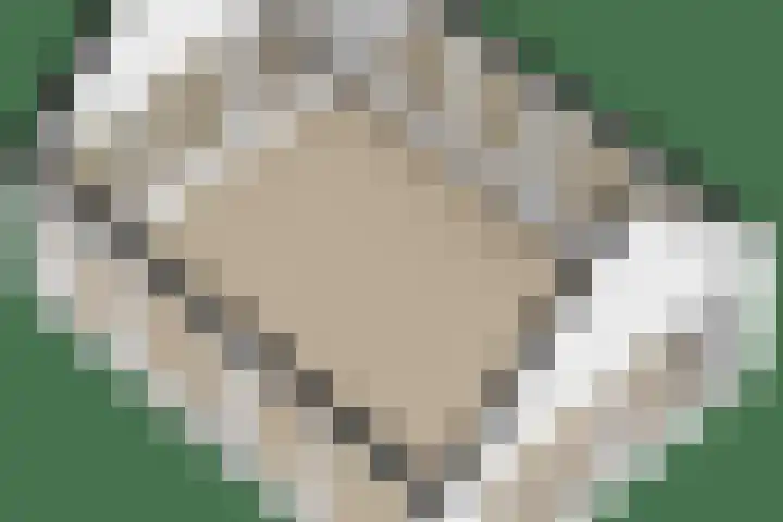 Grietenij 96 Leek thumbnail 56