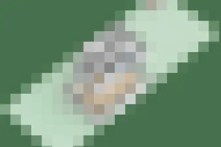 Grietenij 96 Leek thumbnail 58
