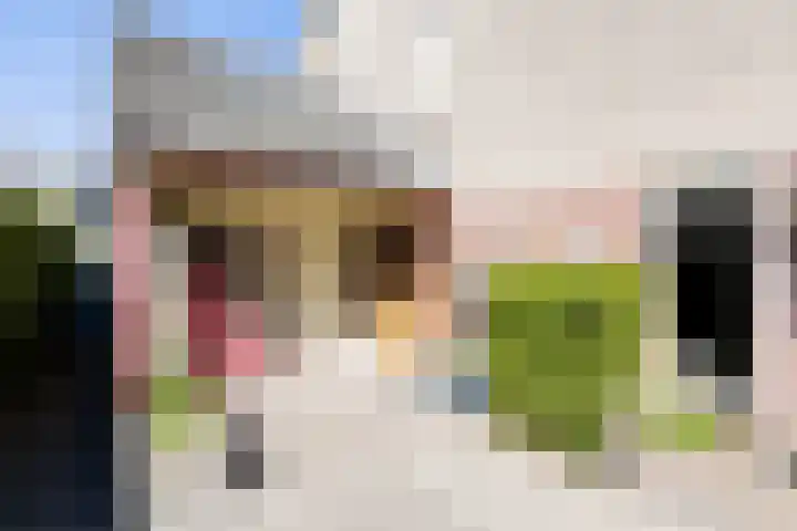 Grietenij 96 Leek thumbnail 7