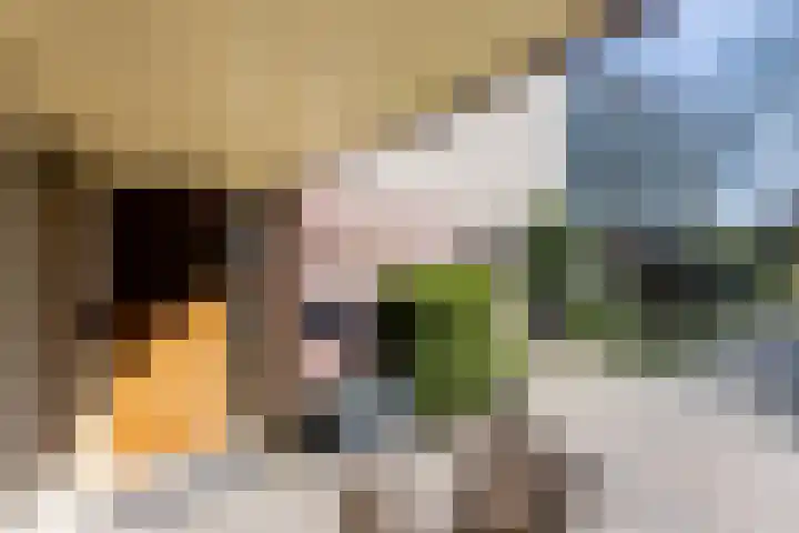 Grietenij 96 Leek thumbnail 8