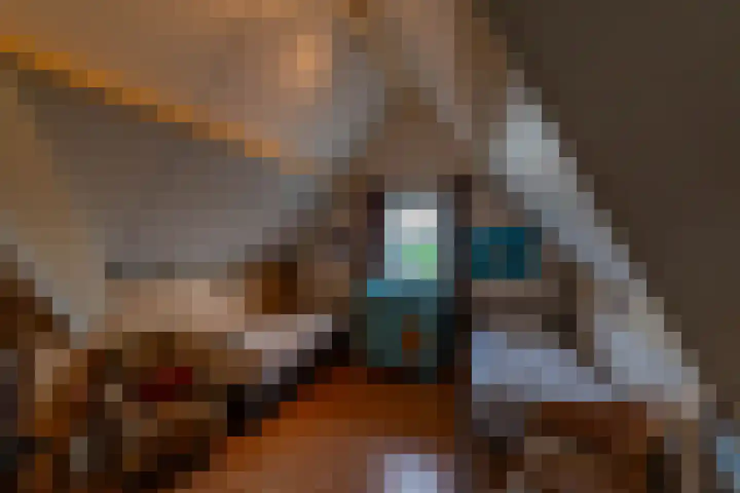 Grietenijdijk 8 Bantega thumbnail 19