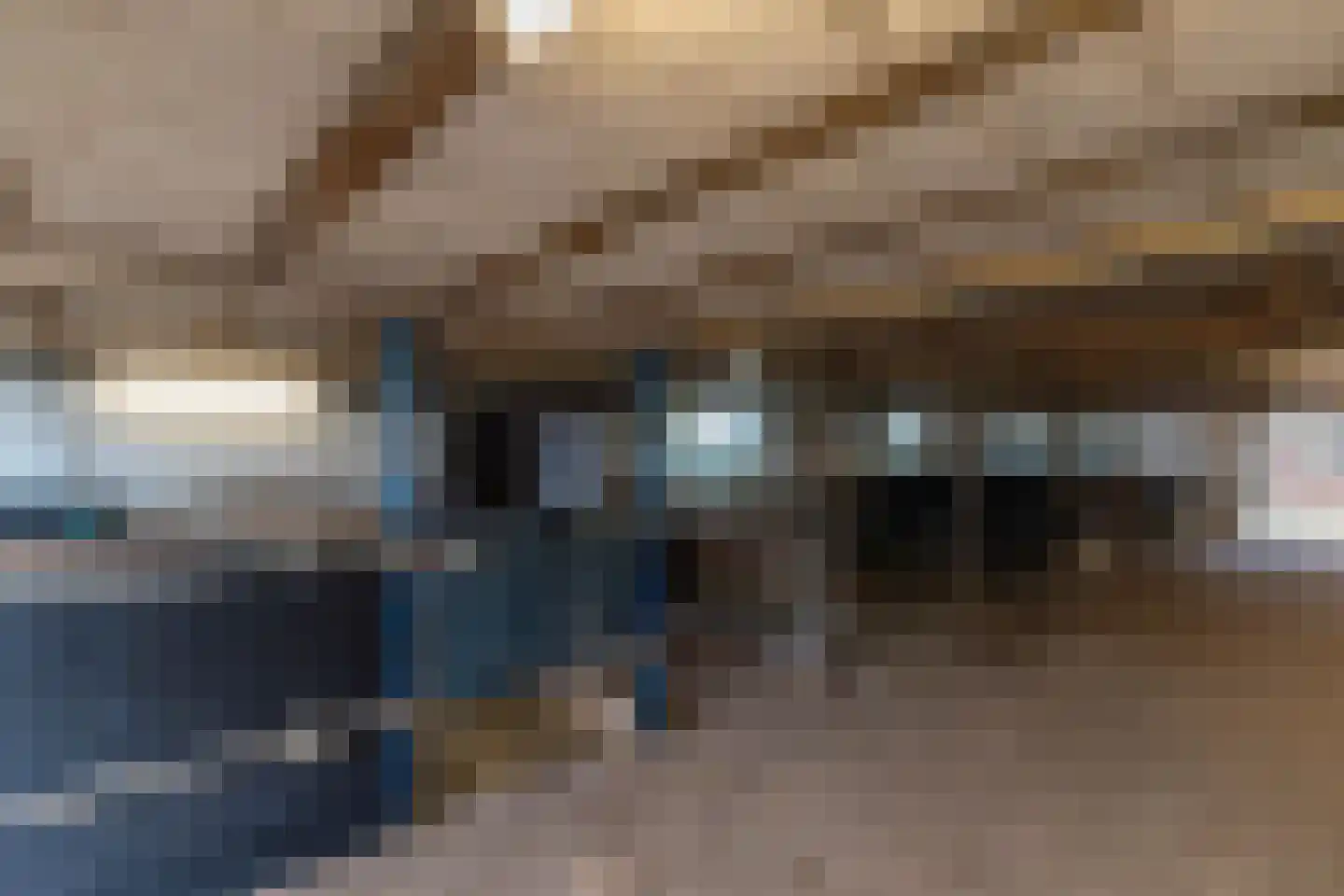 Grietenijdijk 8 Bantega thumbnail 31