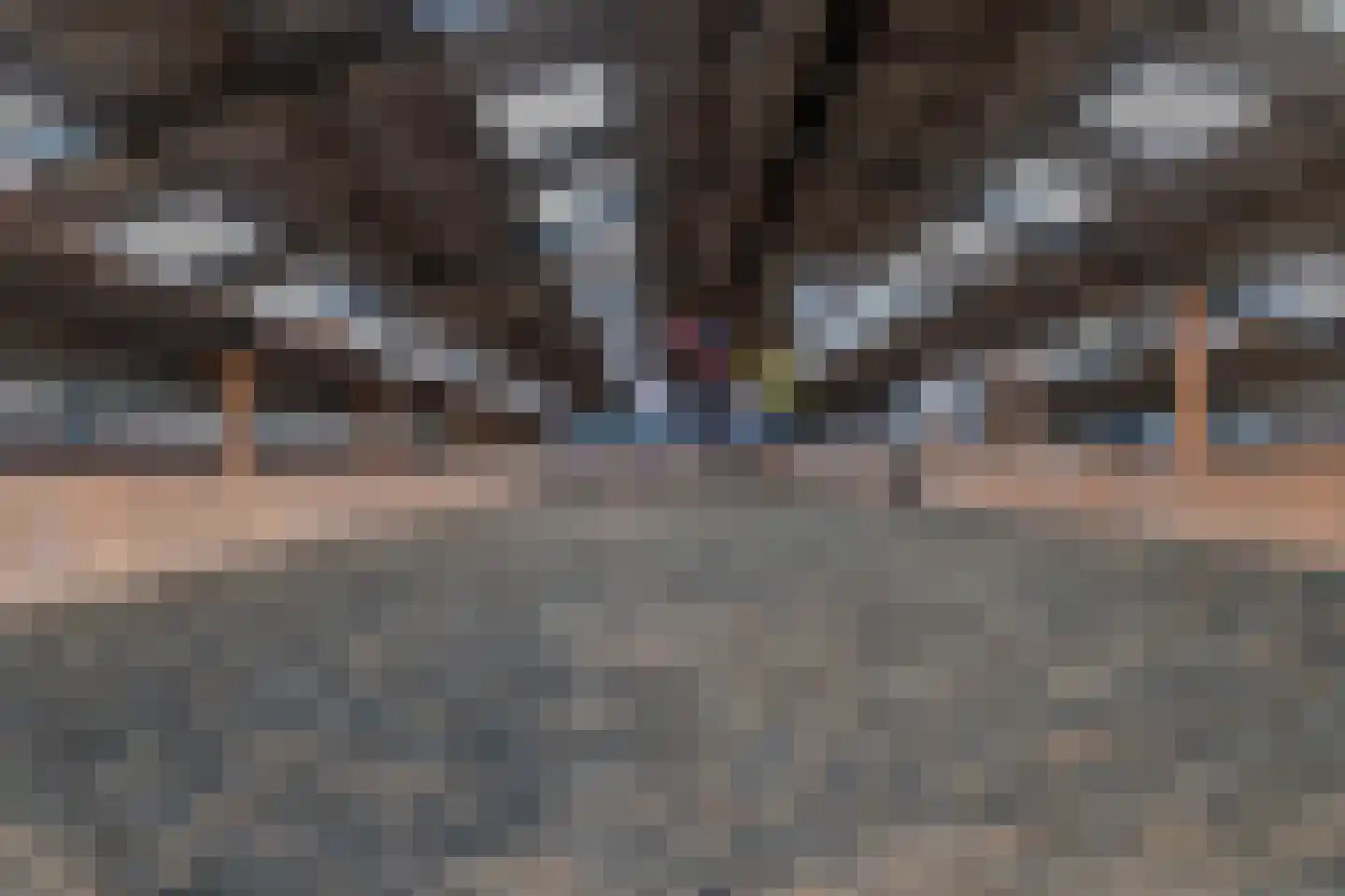 Grietenijdijk 8 Bantega thumbnail 32