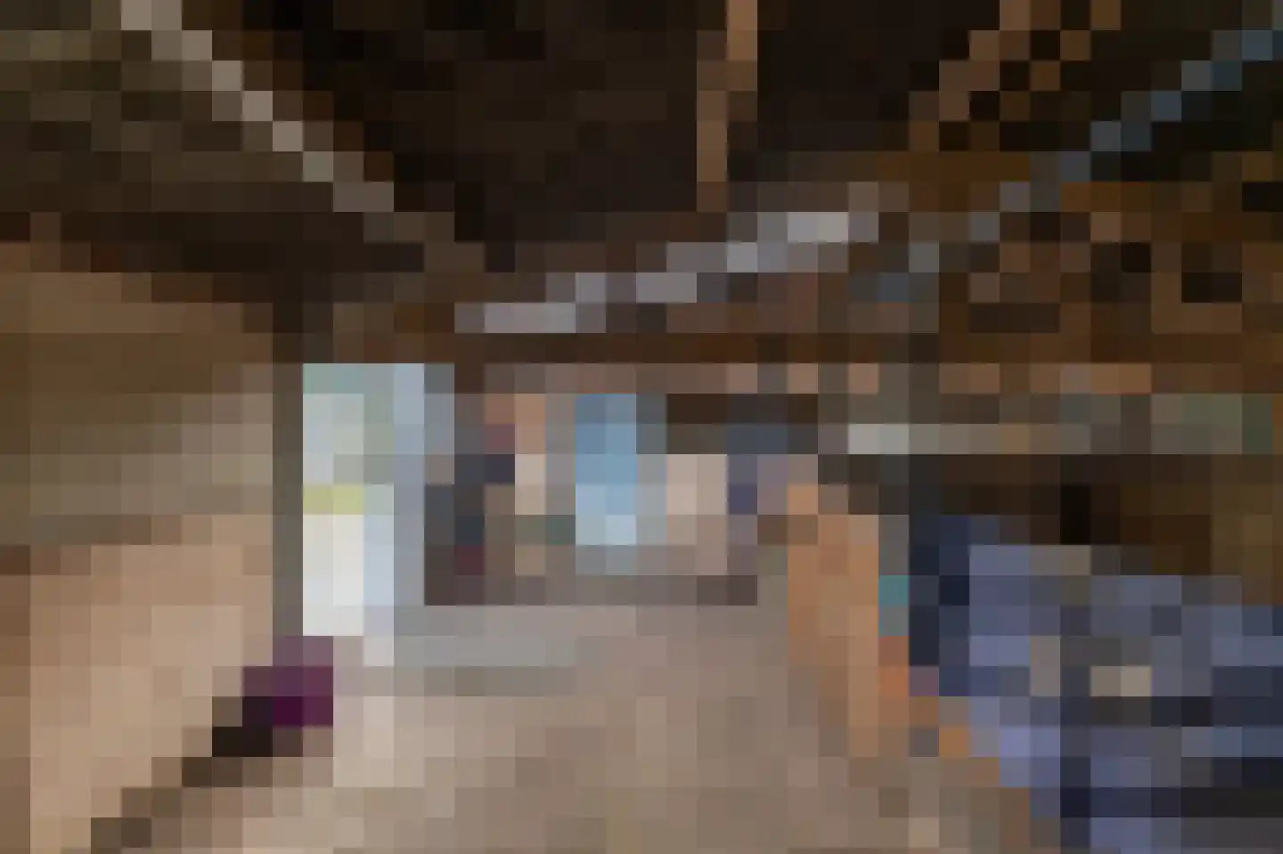 Grietenijdijk 8 Bantega thumbnail 36