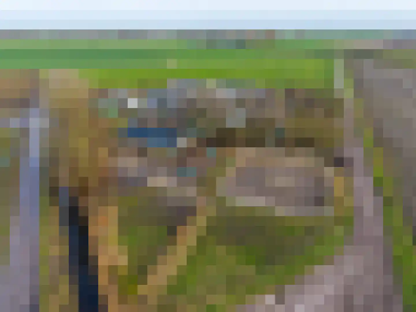 Grietenijdijk 8 Bantega thumbnail 4