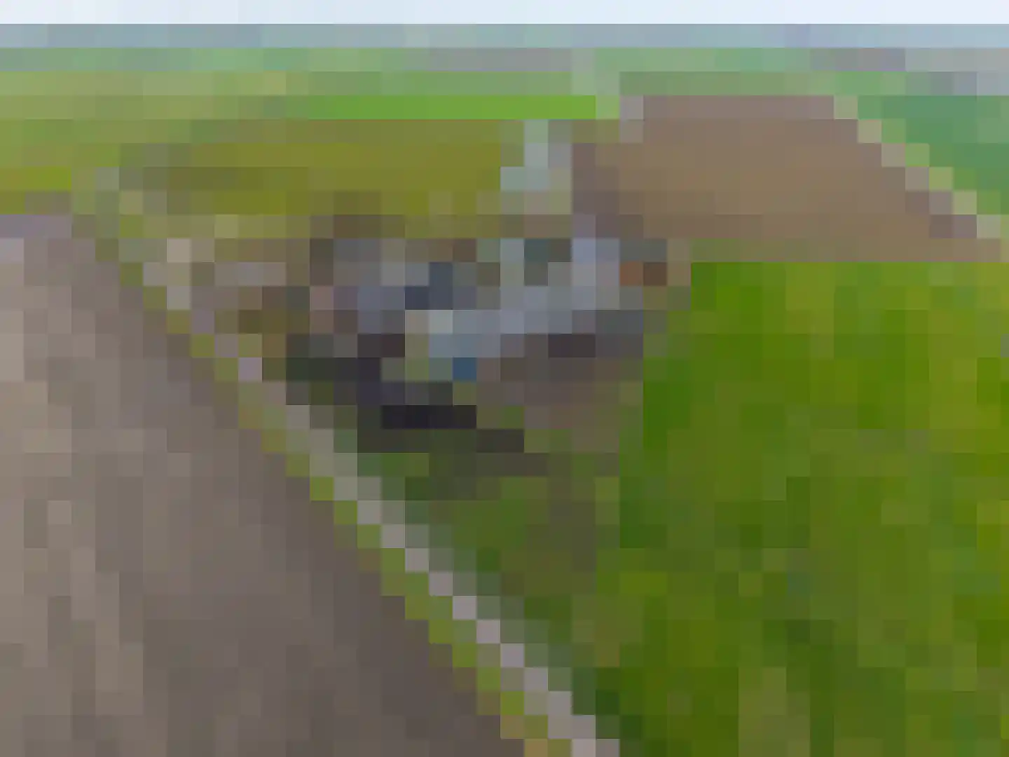 Grietenijdijk 8 Bantega thumbnail 5