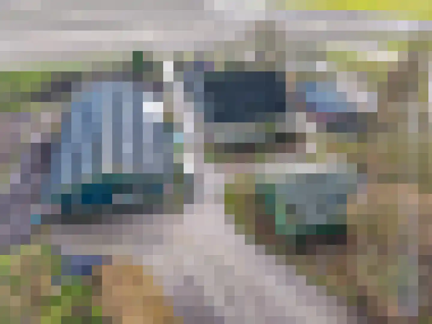 Grietenijdijk 8 Bantega thumbnail 6