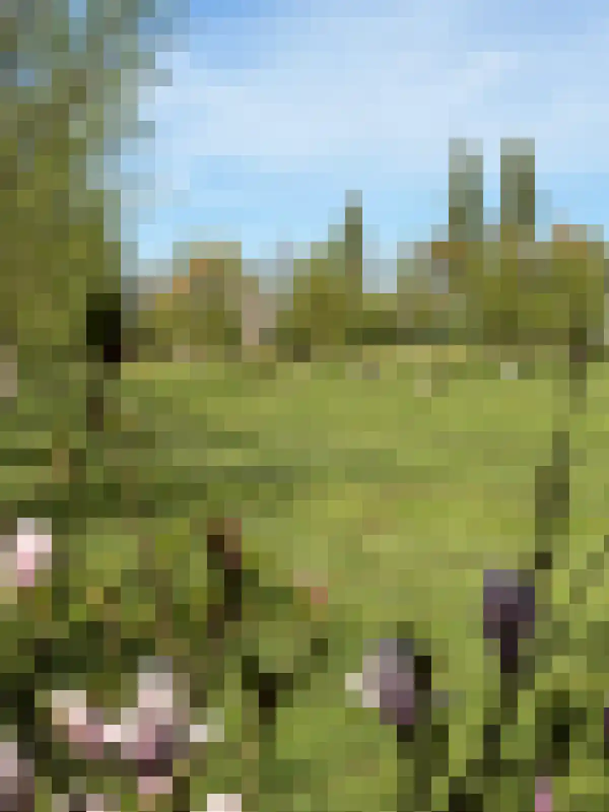 Grietenijdijk 9 Bantega thumbnail 100