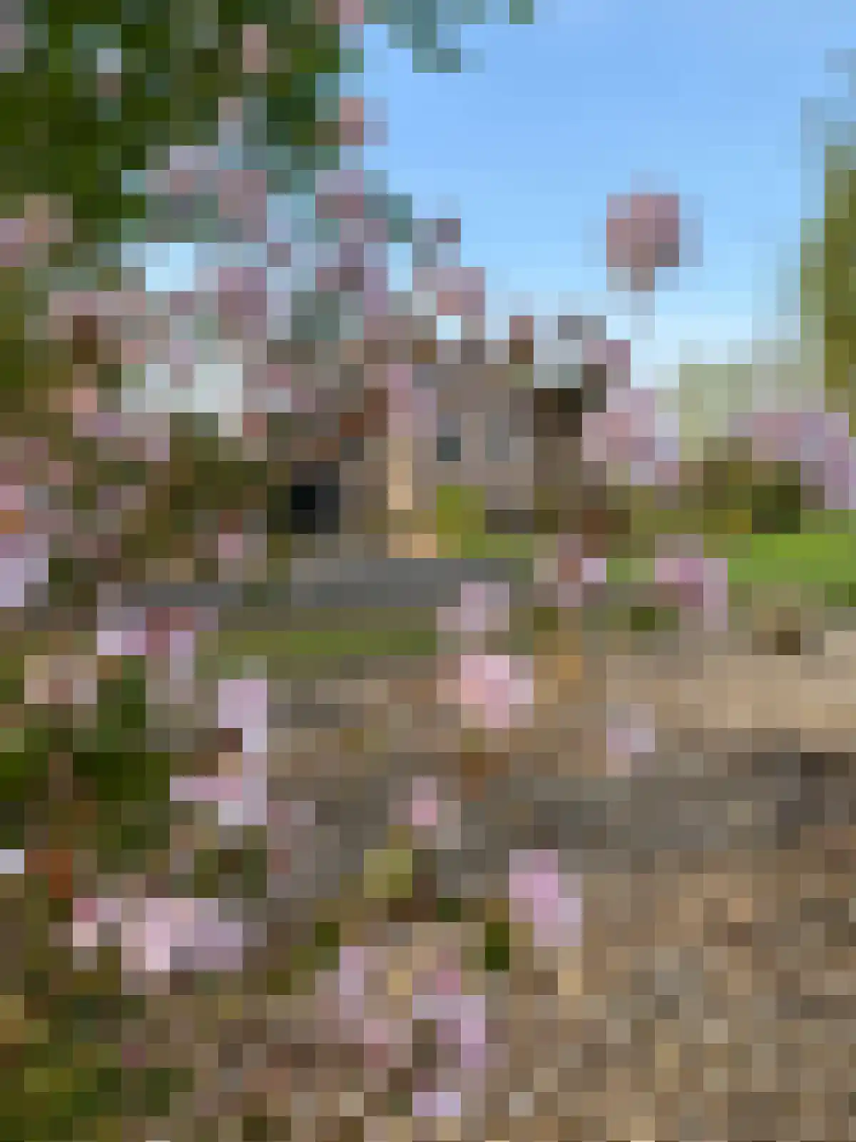 Grietenijdijk 9 Bantega thumbnail 104