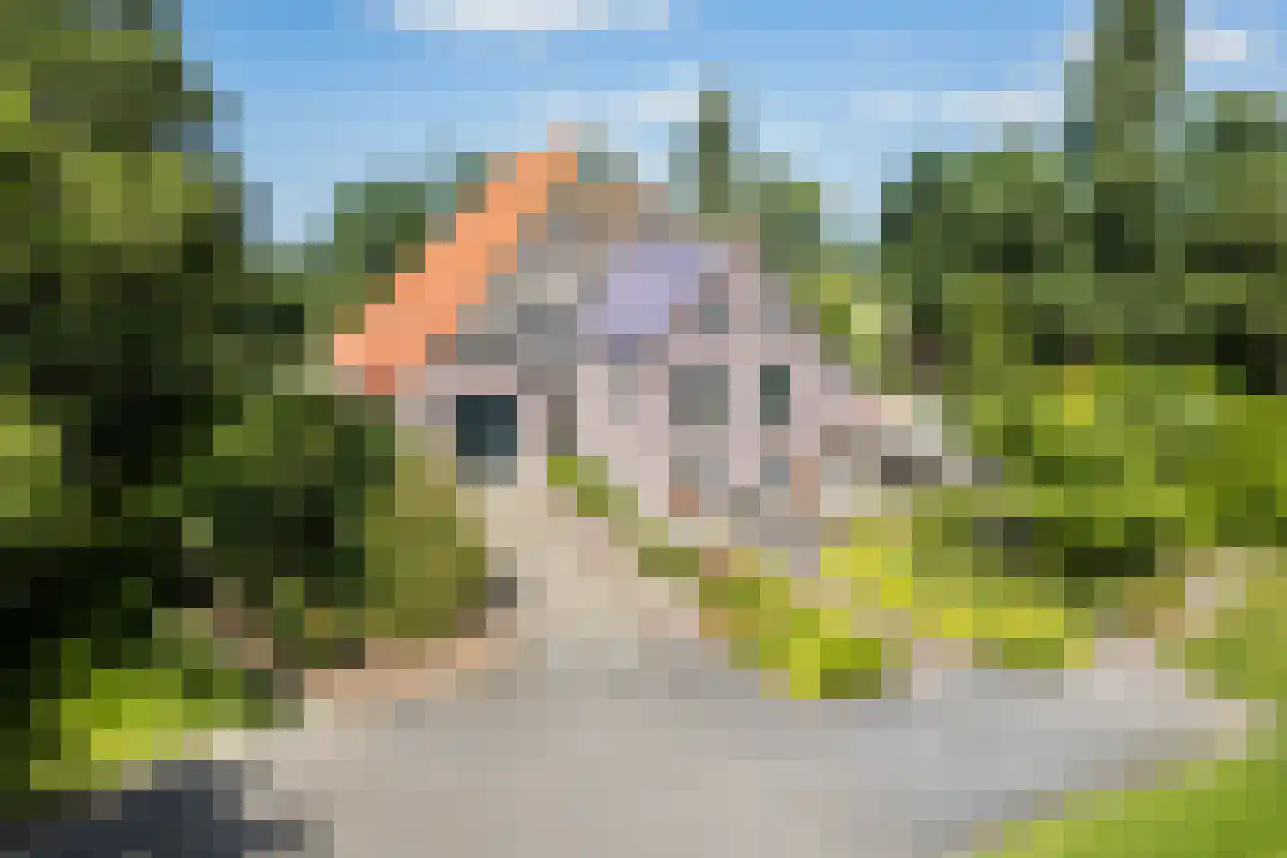 Grietenijdijk 9 Bantega foto 2